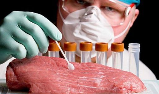 Методика определения антибиотиков в мясе